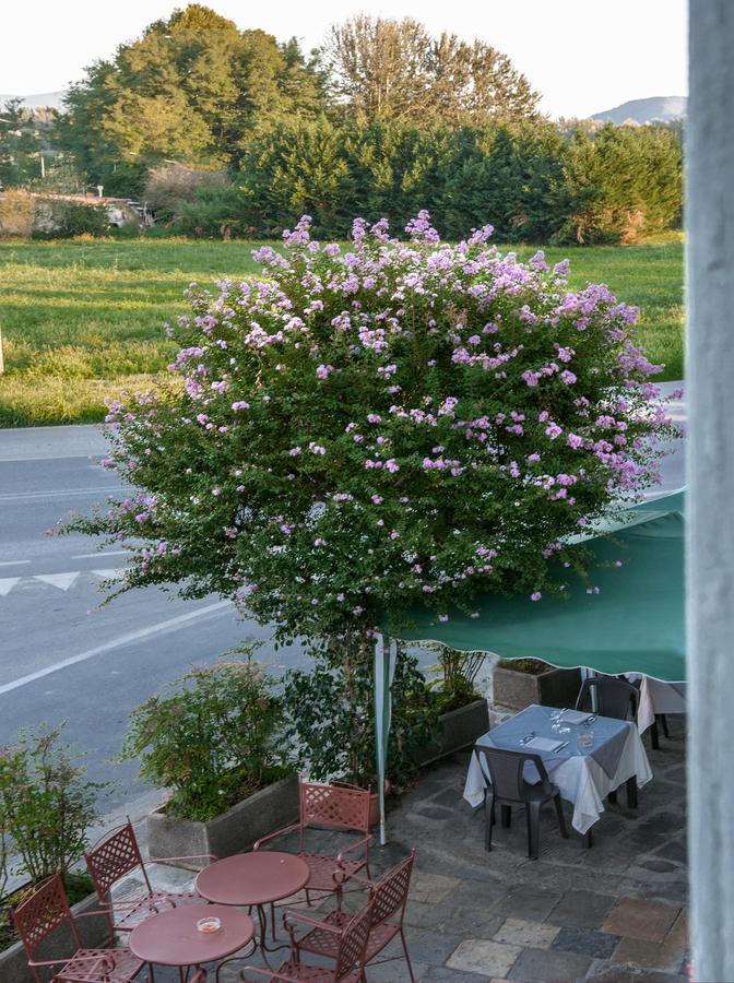 Tuscan Sun Holiday Apartments Lucca Eksteriør billede